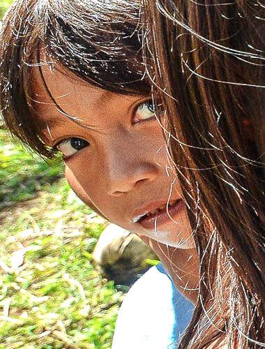 gallery 002 free img